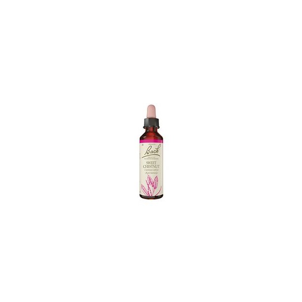 10 ml Bachs gte kastanje (Sweet Chestnut), 20 ml