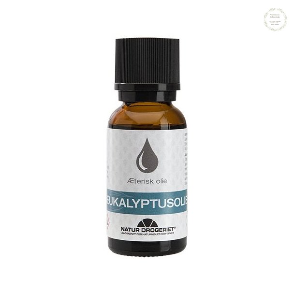 Eucalyptusolie, 20 ml