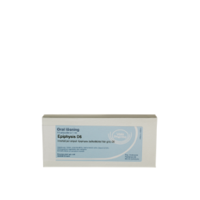 Epiphysis D6, 10 ampuller