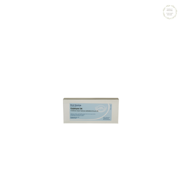 Epiphysis D6, 10 ampuller