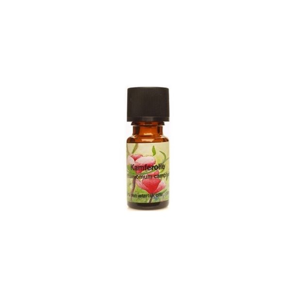 Kamferolie, 10 ml