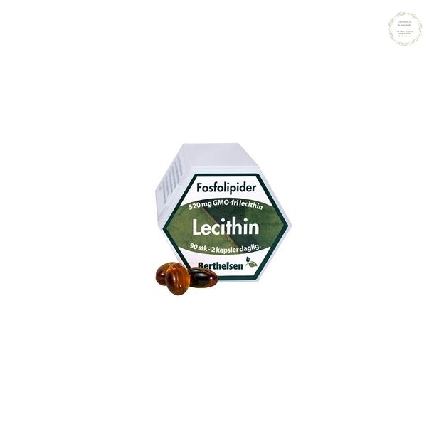 Lecithin, 520 mg, 90 kapsler