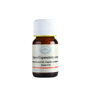Renes/Equisetum organocomp., 30 gram