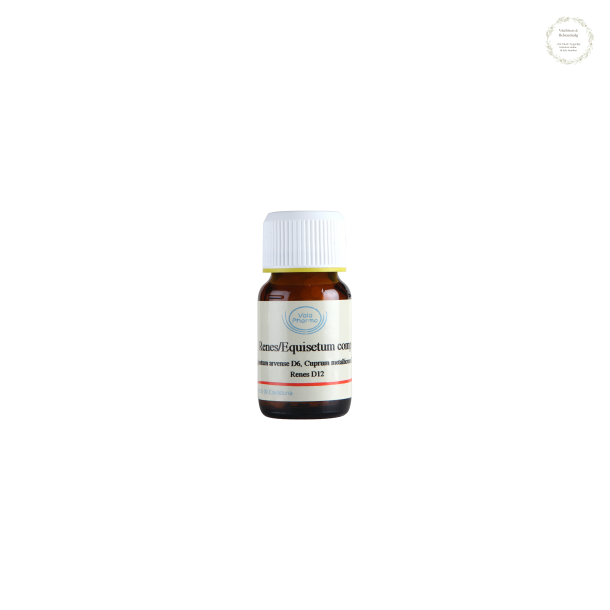 Renes/Equisetum organocomp., 30 gram