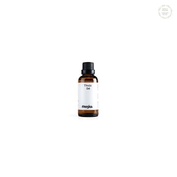 Thuja D6, 50 ml